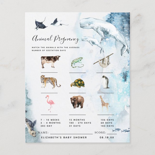 Schwangerschaft | Baby Showspiel (Vorderseite)