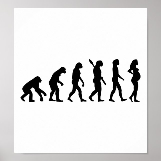 Schwangerschaft Evolution Poster (Vorne)