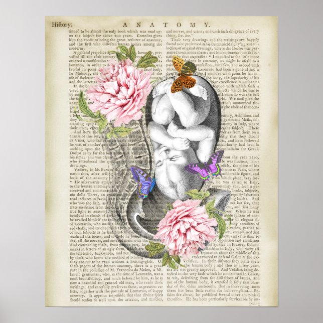 Schwangerschaft Fetus Uterus Anatomie florale OBGY Poster (Vorne)