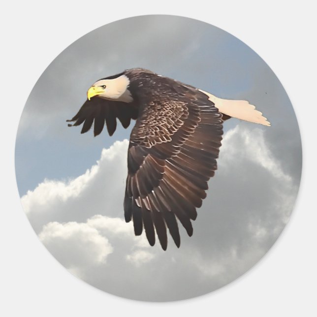 SCHWANKEN RUNDER AUFKLEBER (Vorderseite)