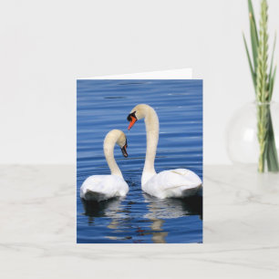Schwanpaare notecard Grußkarten-Set Karte