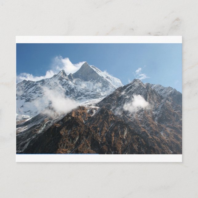 Schwanz 1 postkarte (Vorderseite)