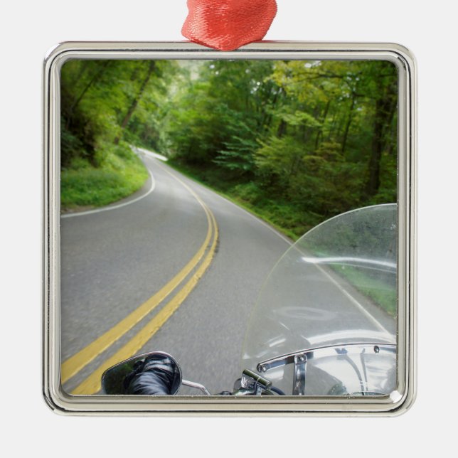 Schwanz des Drachen Ornament Aus Metall (Vorne)