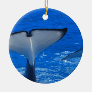 Schwanz einer Wal-Verzierung Keramik Ornament