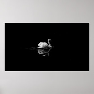 SCHWANZ IN NIEDRIGER LICHTFOTOGRAFIE POSTER