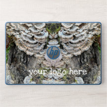 "Schwanz Mushrooms der Türkei"