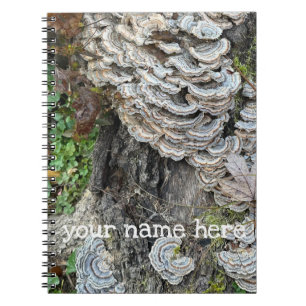 "Schwanz Mushrooms der Türkei" Notizblock