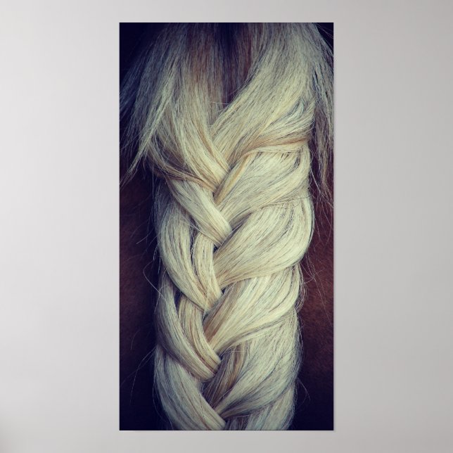 Schwanz Poster (Vorne)