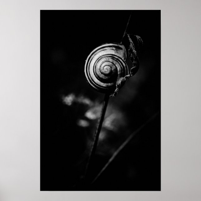 Schwanz Poster (Vorne)