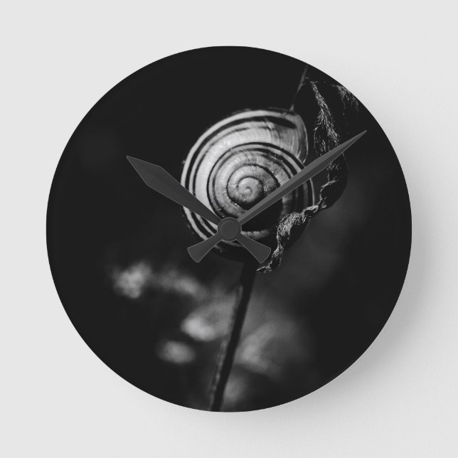 Schwanz Runde Wanduhr (Vorderseite)