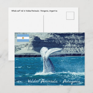 Schwanz von Whale - Argentinien Postkarte