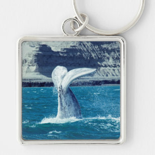 Schwanz von Whale - Argentinien Schlüsselanhänger