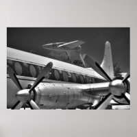 Schwänze und Propeller in Schwarz und Weiß