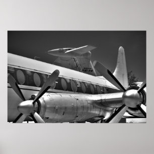 Schwänze und Propeller in Schwarz und Weiß Poster