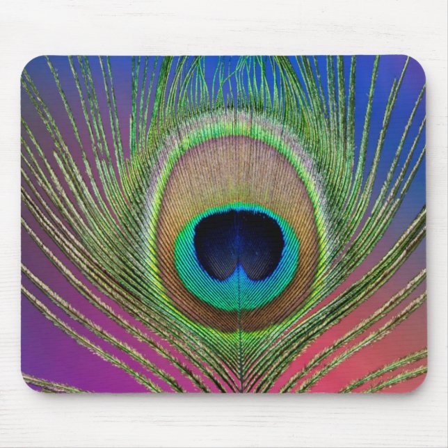 Schwanzfeder eines Pfaus Mousepad (Vorne)