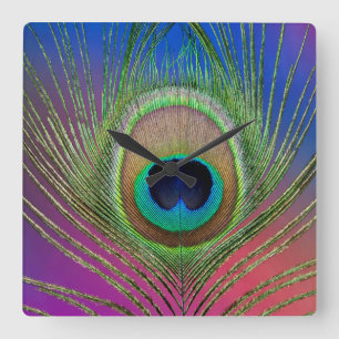 Schwanzfeder eines Pfaus Quadratische Wanduhr