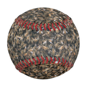 Schwarm Baseball