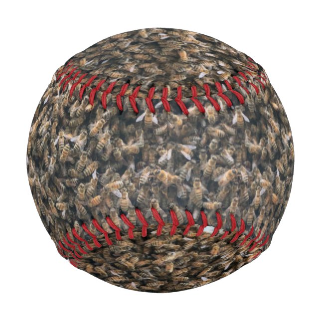 Schwarm Baseball (Vorderseite)