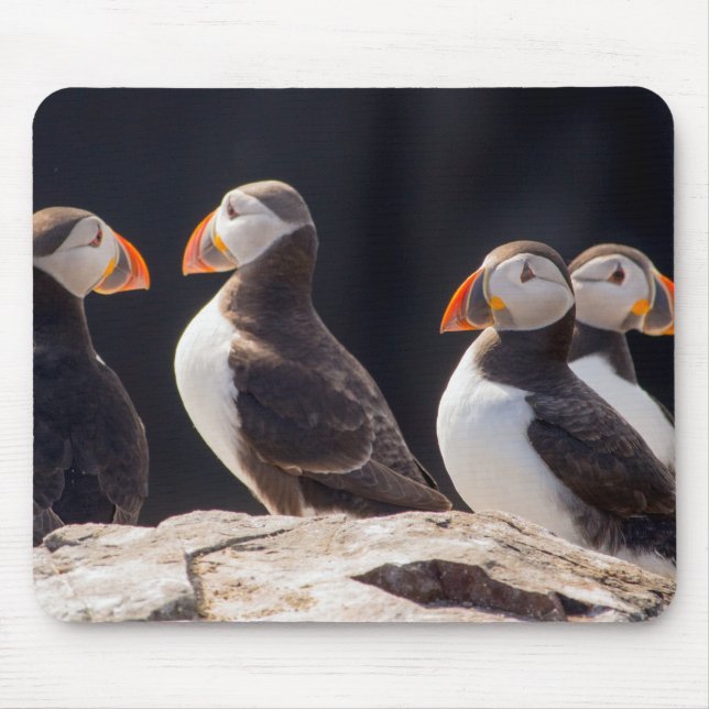 Schwarm von Papageientauchern Mousepad (Vorne)