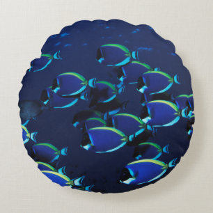 Schwarmbildung beim Blauschuppen-Doktorfisch Rundes Kissen