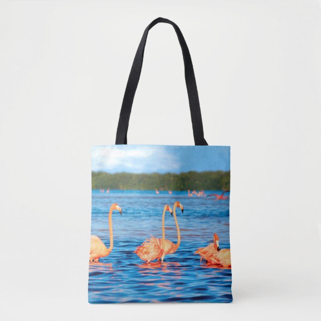 Schwärme von schönen rosa Flamingos im Celestun (Vorderseite)