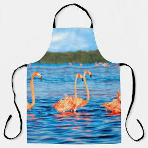 Schwärme von schönen rosa Flamingos im Celestun Schürze