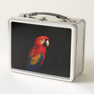 Schwarz 4 Luxe Edelstahl Lunchbox Scharlachroter P