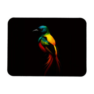 Schwarz 4 Luxe Flexibler Magnet Regenbogen-Tropenv
