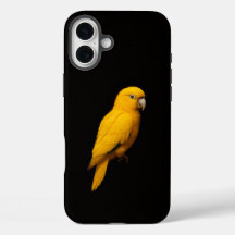 Schwarz 4 Luxe iPhone 16 Plus, Goldsittich