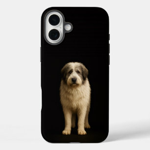 Schwarz 4 Luxe iPhone 16 Plus, Mioritic Shepherd Plus Hülle