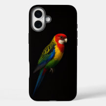Schwarz 4 Luxe iPhone 16 Plus, Östliche Rosella