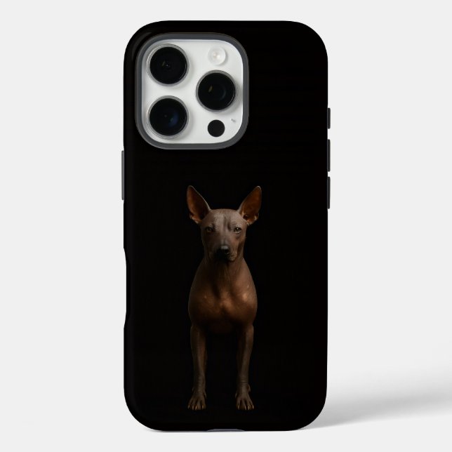 Schwarz 4 Luxe iPhone 16 Pro, Argentinischer Pila- Case-Mate iPhone Hülle (Rückseite)