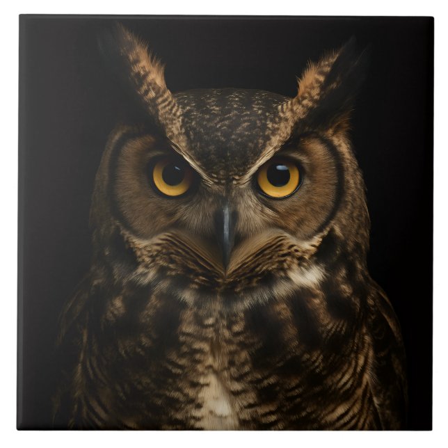 Schwarz 4 Luxus Tile mit Golden Eye Owl Fliese (Vorderseite)