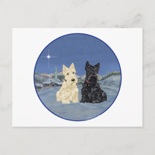 Schwarz-braune Schottische Terrier im Winter Postkarte