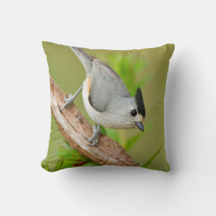 Schwarz-Crested-Titmouse Kissen