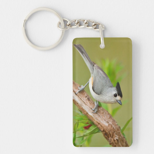 Schwarz-Crested-Titmouse Schlüsselanhänger (Vorderseite)