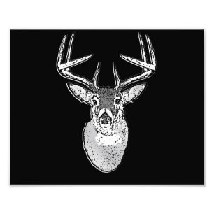 Schwarz-Design White Schwanz Deer Fotodruck