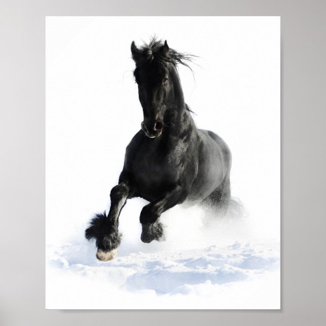 Schwarz Friesian Horse in Snow Decoupage Print Poster (Vorne)
