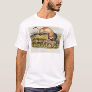 Schwarz-füßiges Frettchen T-Shirt