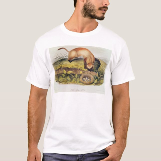 Schwarz-füßiges Frettchen T-Shirt (Vorderseite)