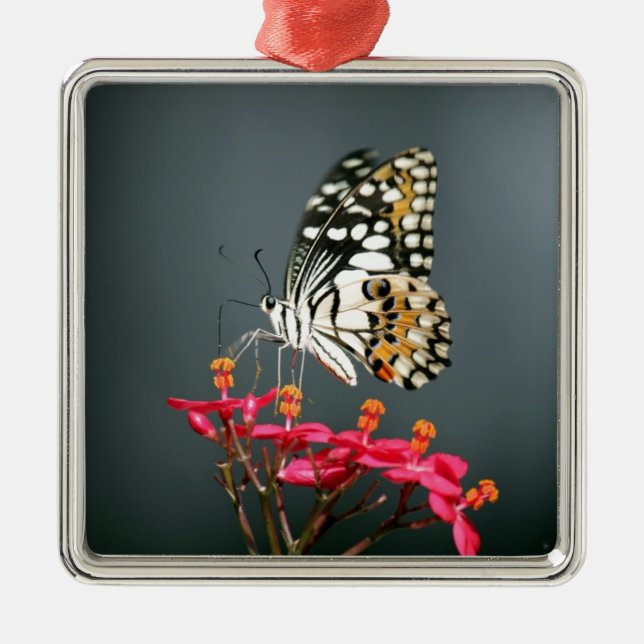 Schwarz-Gelb-Schmetterling auf rosa Blume Ornament Aus Metall (Vorne)