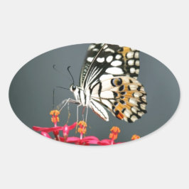 Schwarz-Gelb-Schmetterling auf rosa Blume Ovaler Aufkleber