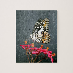 Schwarz-Gelb-Schmetterling auf rosa Blume Puzzle