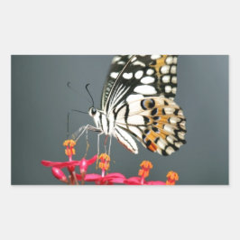 Schwarz-Gelb-Schmetterling auf rosa Blume Rechteckiger Aufkleber