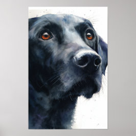 Schwarz Labrador Retriever Aquarell Poster