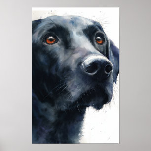 Schwarz Labrador Retriever Aquarell Poster