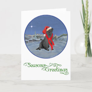 Schwarz Labrador Retriever Weihnachten