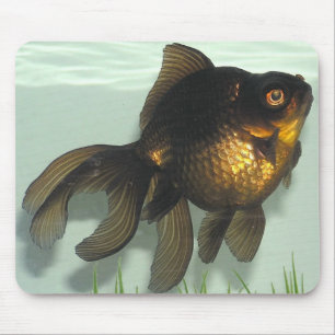 Schwarz-machen Sie Goldfisch fest Mousepad
