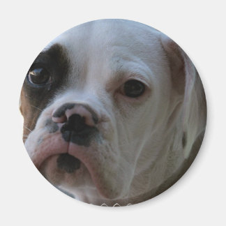 Schwarz-Mit Augen-Boxer-Hund-Runde-Magnet Magnet