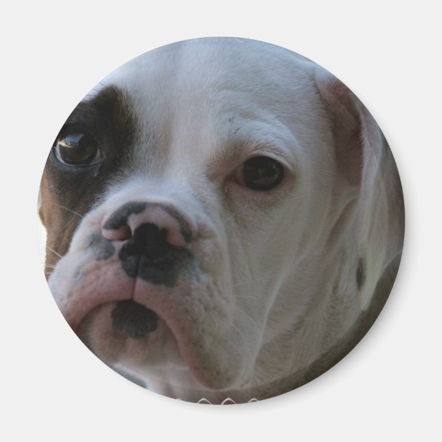 Schwarz-Mit Augen-Boxer-Hund-Runde-Magnet Magnet (Vorne)